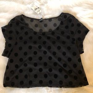 Women’s Express Black Shirt Size Small NWT